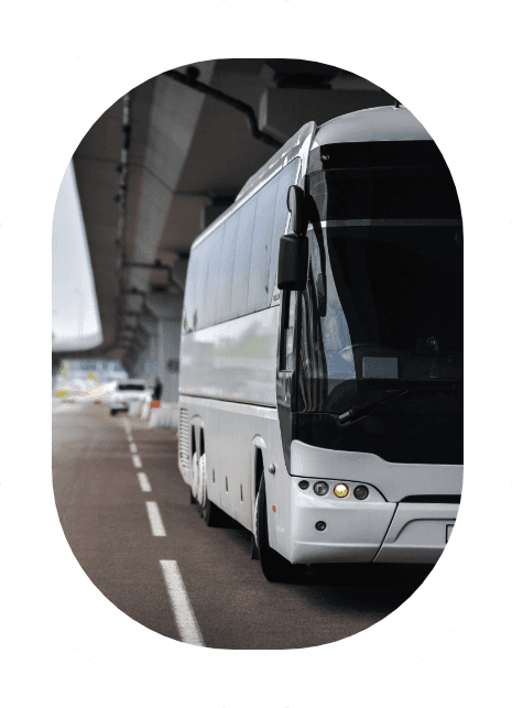 Los Cabos Buses | Public Bus from Los Cabos Airport